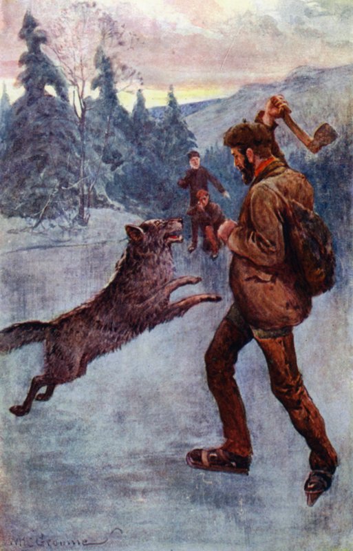"Han sköt, och den råa, i samma ögonblick som den började springa, föll omkull, morrande och fräsande" (färg litho) av William Henry Charles Groome