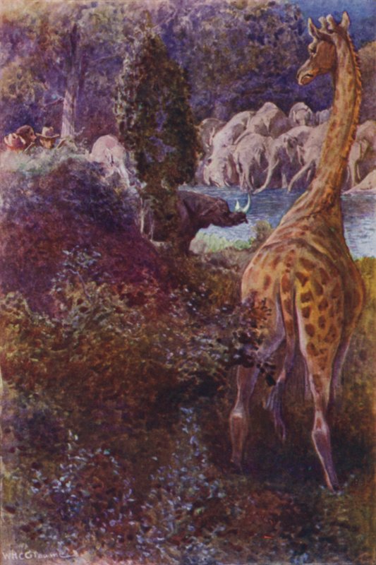 Illustration för The Gorilla Hunters av RM Ballantyne (färg litho) av William Henry Charles Groome