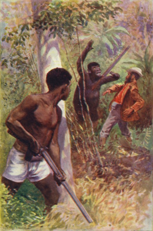 Illustration för The Gorilla Hunters av RM Ballantyne (litho i färg) av William Henry Charles Groome
