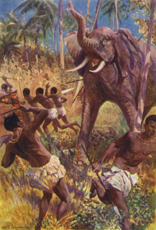 Illustration för The Gorilla Hunters av RM Ballantyne (litho i färg) av William Henry Charles Groome