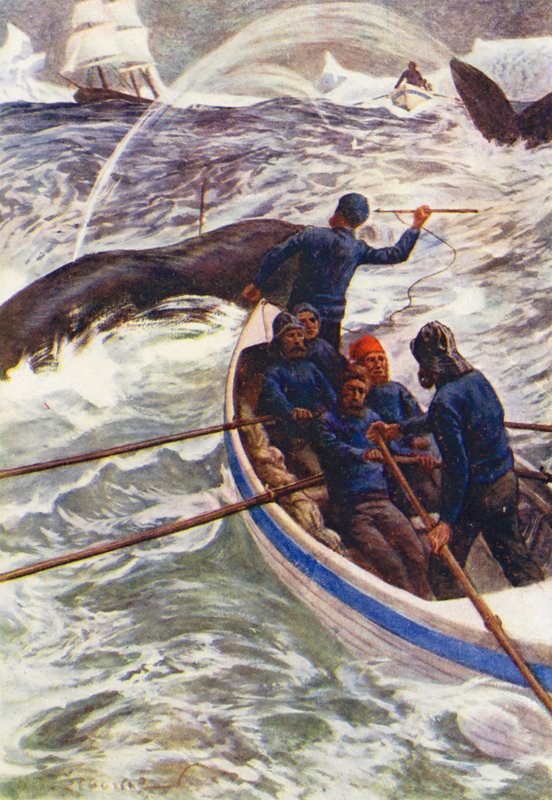 Illustration till The World of Ice or the Whaling Cruise of The Dolphin (färglitografi) av William Henry Charles Groome