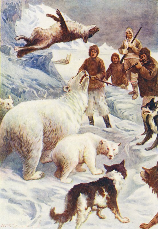 Illustration till The World of Ice or the Whaling Cruise of The Dolphin (färglitografi) av William Henry Charles Groome