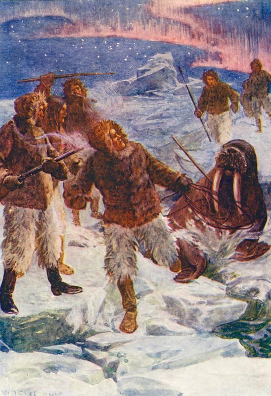 Illustration till The World of Ice or the Whaling Cruise of The Dolphin (färglitografi) av William Henry Charles Groome