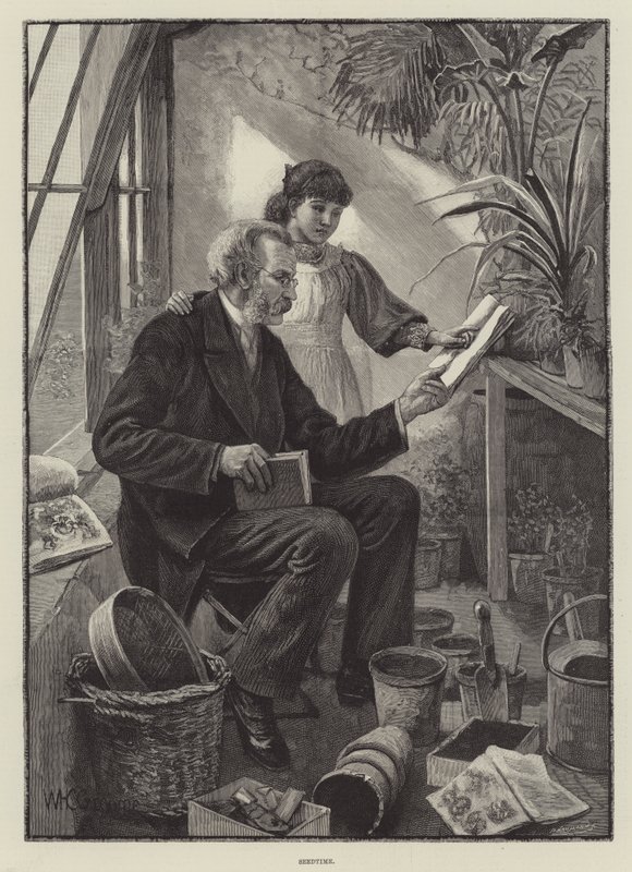 Seedtime av William Henry Charles Groome
