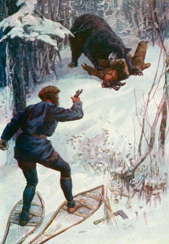 Björnen stod över honom och höll en av hans armar i munnen. av William Henry Charles Groome