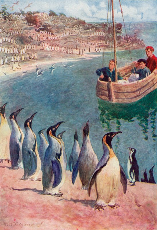 Vi tittade på fåglarna med förvåning och glädje, och de besvarade vår blick med intresse. av William Henry Charles Groome