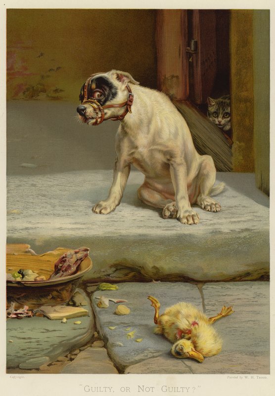 Skyldig eller oskyldig (chromolitho) av William Henry Hamilton Trood