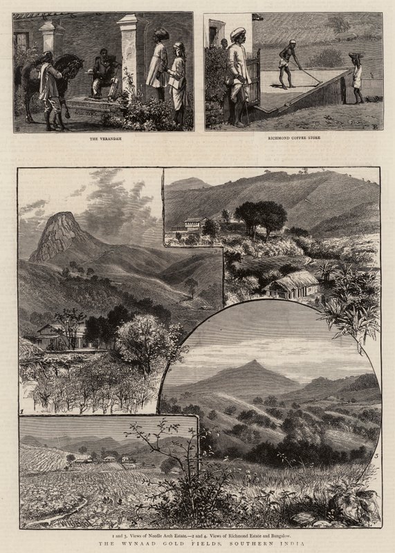 Wynaad Gold Fields, södra Indien av William Henry James Boot