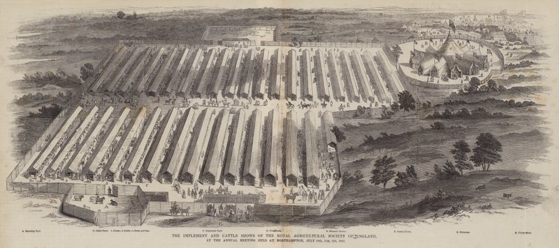 Redskaps- och boskapsutställningarna av Royal Agricultural Society of England, vid årsmötet i Northampton, 20, 21, 22 juli 1847 av William Henry Pike