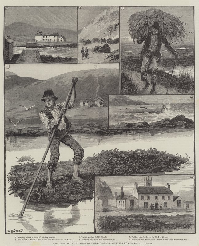 Nöden i västra Irland av William Heysham Overend