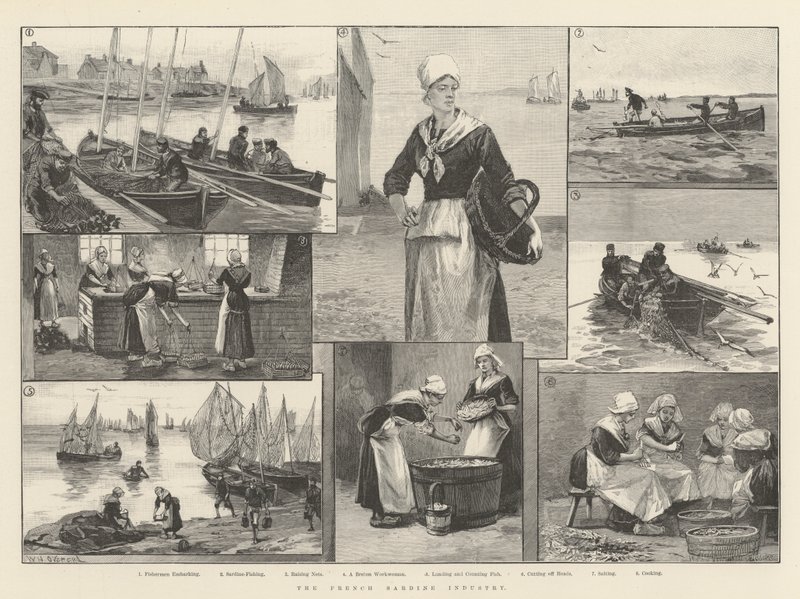 Den franska sardinindustrin av William Heysham Overend