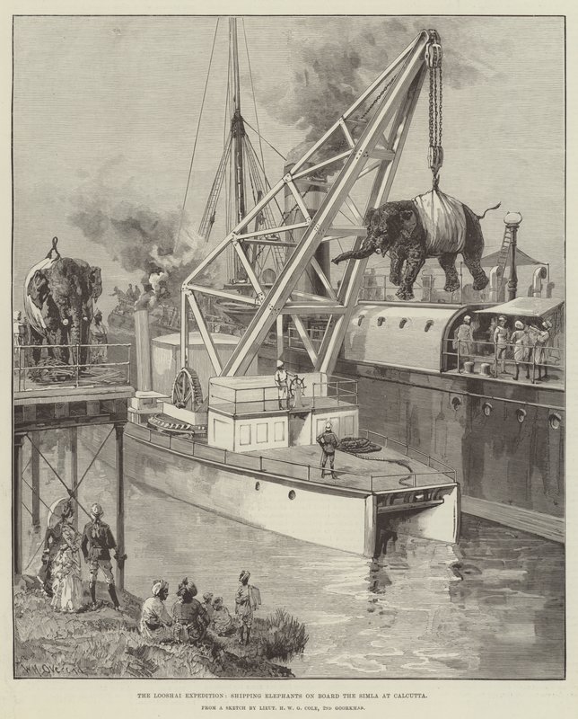 Looshai-expeditionen, fraktar elefanter ombord på Simla i Calcutta av William Heysham Overend