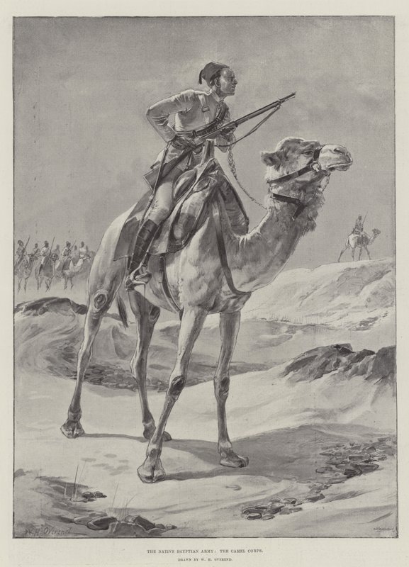 Den infödda egyptiska armén, kamelkåren av William Heysham Overend