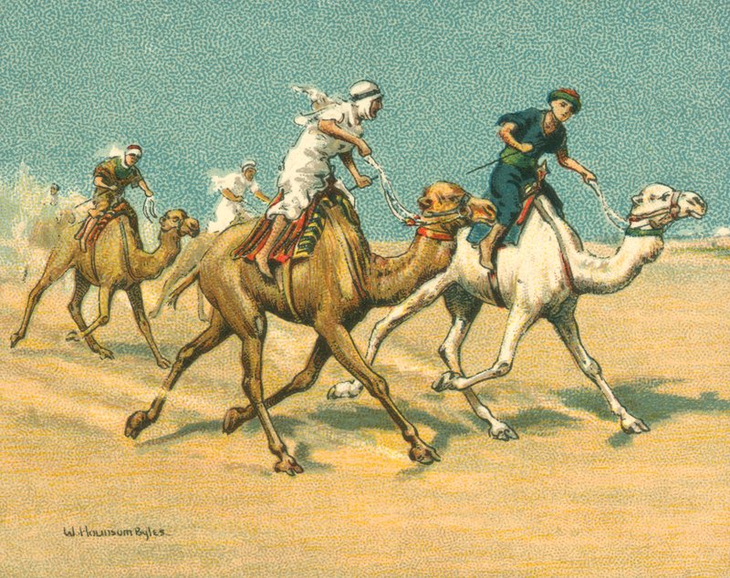 Races Historic and Modern, Camel Races (chromolitho) av William Hounsom Byles