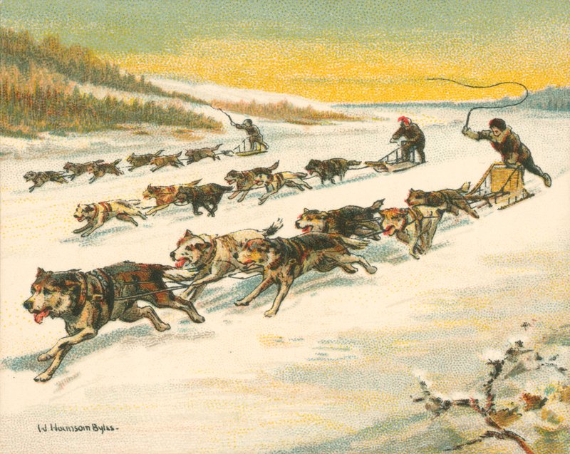 Racer historiska och moderna, kanadensiska hundslädelopp (chromolitho) av William Hounsom Byles