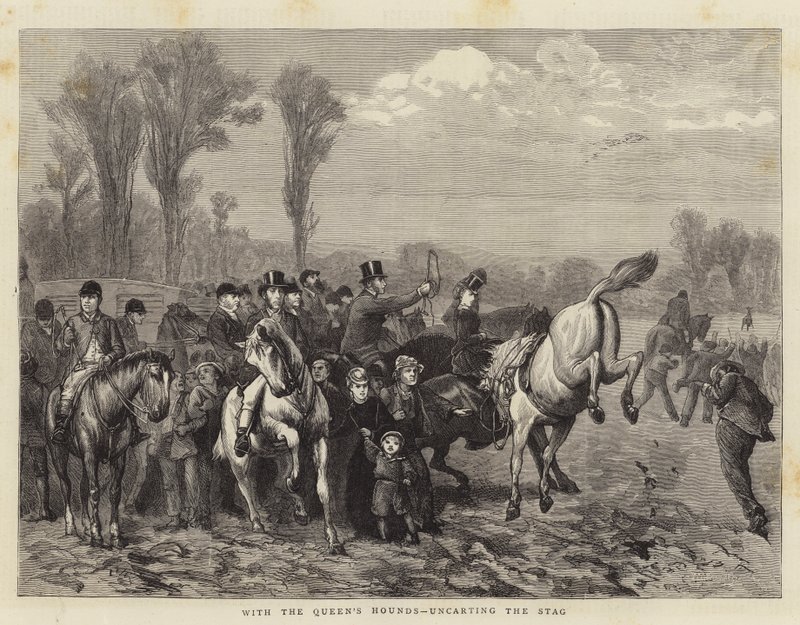 Med drottningens hundar, som avskiljer hjorten av William III Bromley