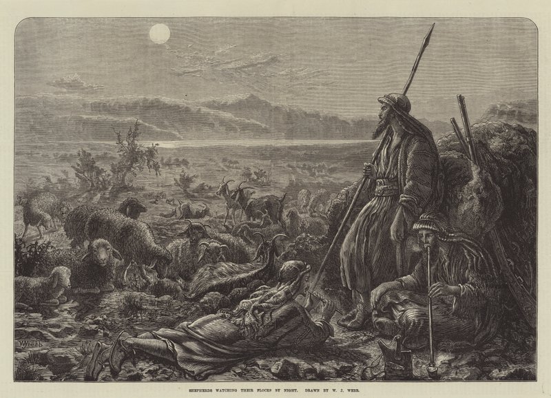 Herdar som tittar på sina flockar om natten av William J. Webbe or Webb