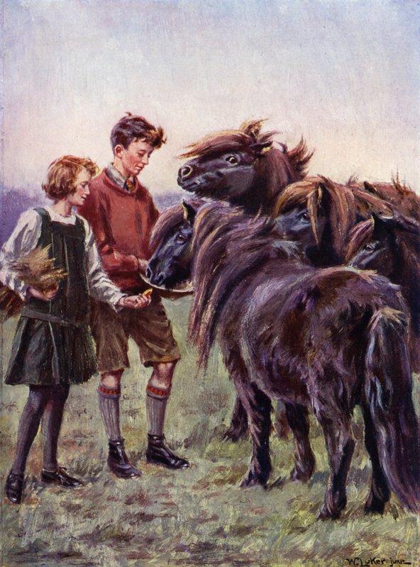 Pojke och flicka som matar shetlandsponnyer (färg litho) av William Luker