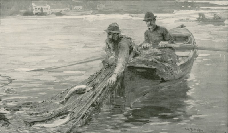 Nätlax på Fraser River, British Columbia av William Rainey