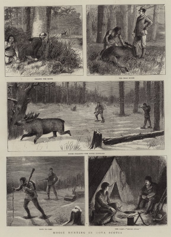 Älgjakt i Nova Scotia av William Ralston