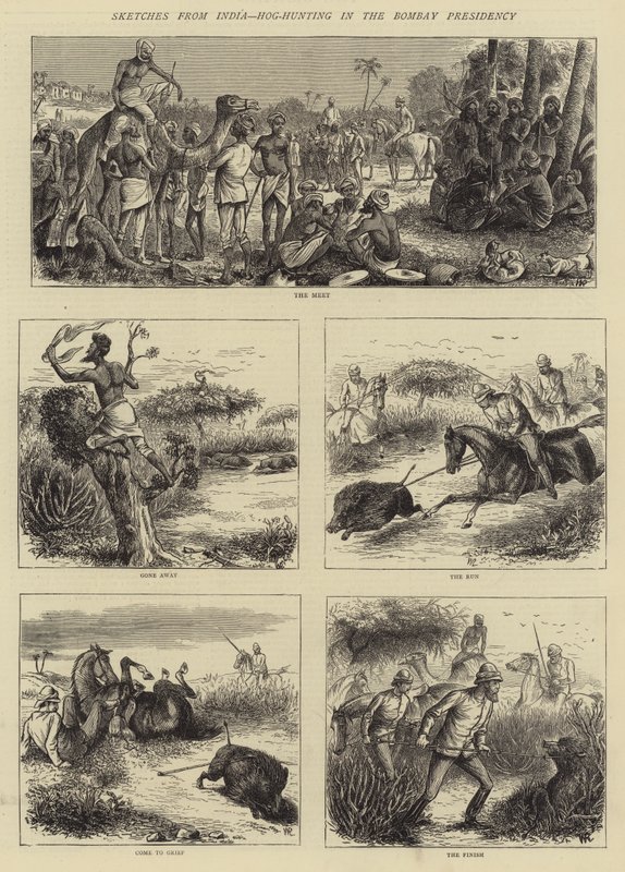 Skisser från Indien, svinsjakt i Bombay Presidency av William Ralston