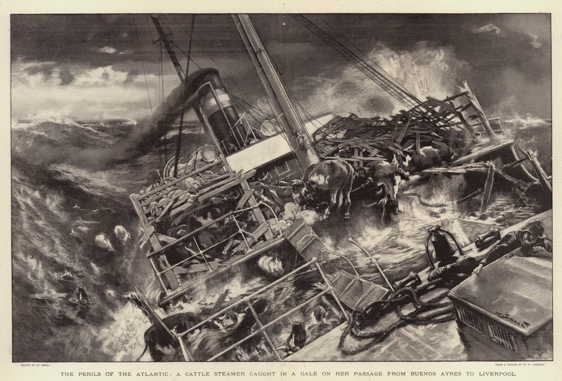 The Perils of the Atlantic, en boskapsångare fångad i en kuling på sin passage från Buenos Ayres till Liverpool av William Small