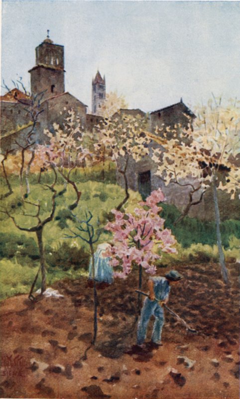 Siena. Under the Walls (färg litho) av William Wiehe Collins