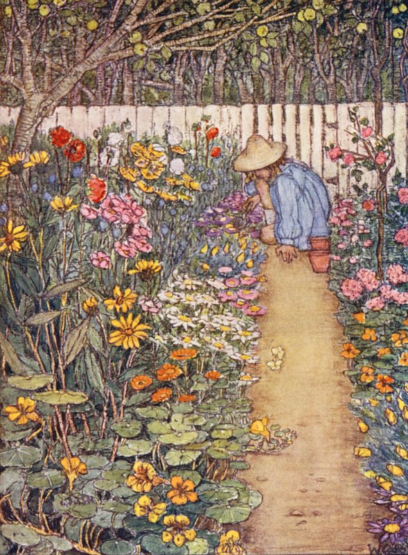 Barnens bok om trädgårdsskötsel: En örtbevuxen rabatt (färglitografi) av Winifred Cayley Robinson