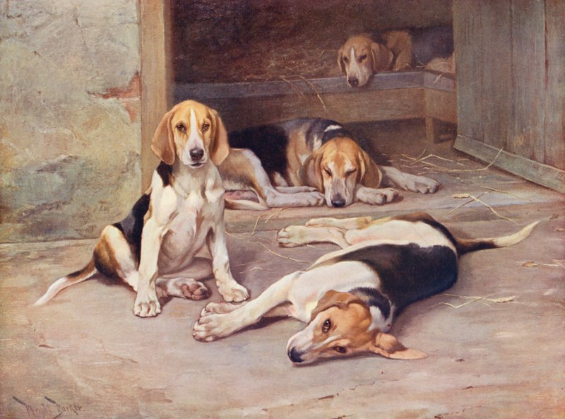 Puppy Days (färglitografi) av Wright Barker