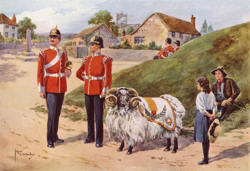 Derby Tom, Sherwood Foresters Pet Ram av after Edgar Alfred Holloway