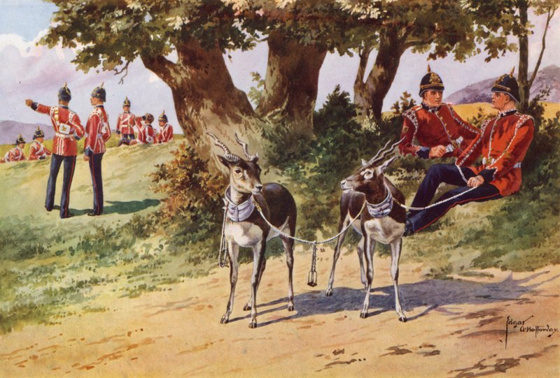 Pet Antilopes av Royal Warwickshire Regiment av after Edgar Alfred Holloway
