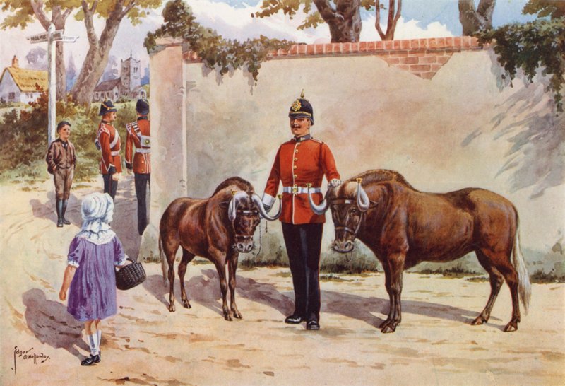 Gnuer (eller White-tailed Gnu), husdjur i södra Wales Borderers av after Edgar Alfred Holloway