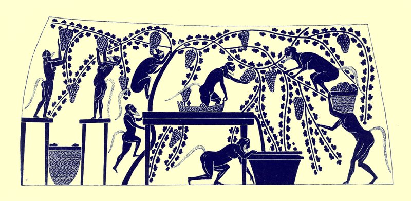 Satyrer samlar årgången, illustration från grekiska vassmålningar av J. E. Harrison och D. S. MacColl, publicerad 1894 (digitalt förbättrad bild) av after English School