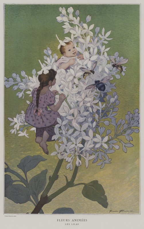 Fleures Animees. Les Lilas. (Animerade blommor: syrener) av after Firmin Bouisset