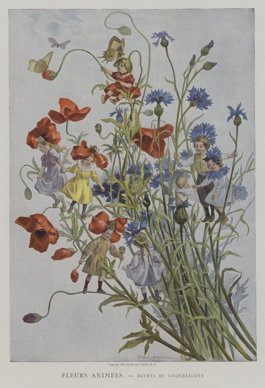 Fleurs Animees. Bleuets et Coquelicots. (Animerade blommor: blåklint och vallmo) av after Firmin Bouisset