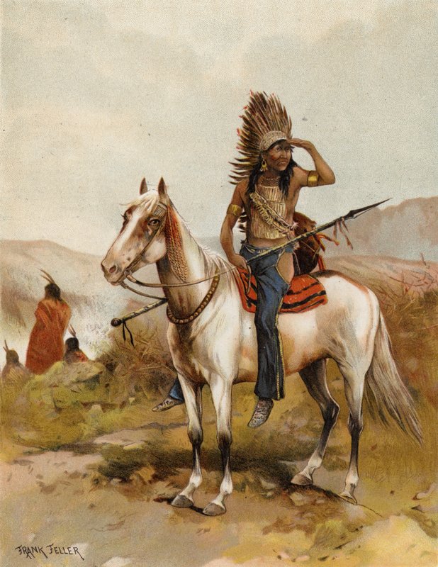 En sioux-indianhövding (chromolitho) av after Frank Feller