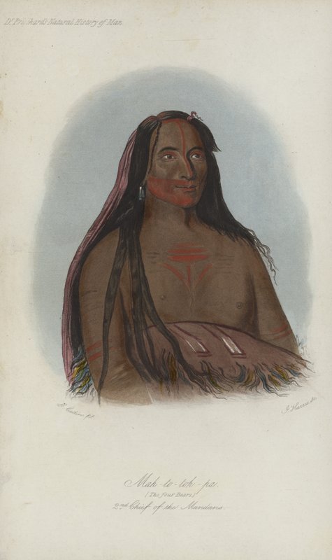 Mah-to-toh-pa, The Four Bears, 2nd Chief Of The Mandans (akvatint) av after George Catlin