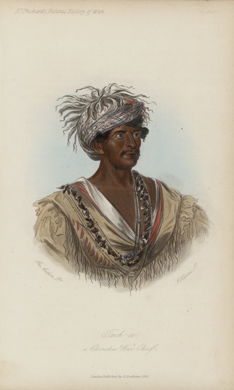 Tuch-ee, en Cherokee War Chief (akvatint) av after George Catlin