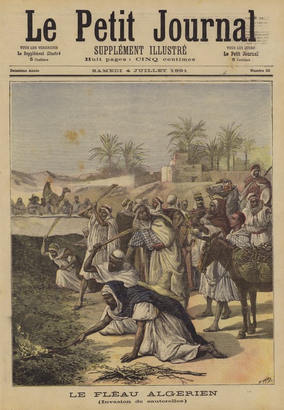 Den algeriska pesten av after Henri Meyer