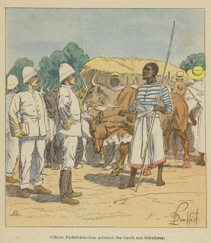 Administrationsofficer köper oxar från Sakalaves av after Louis Charles Bombled