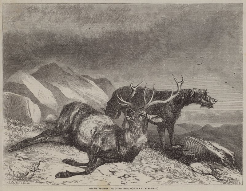 Deer-Stalking, the Dying Stag  av after Richard Ansdell