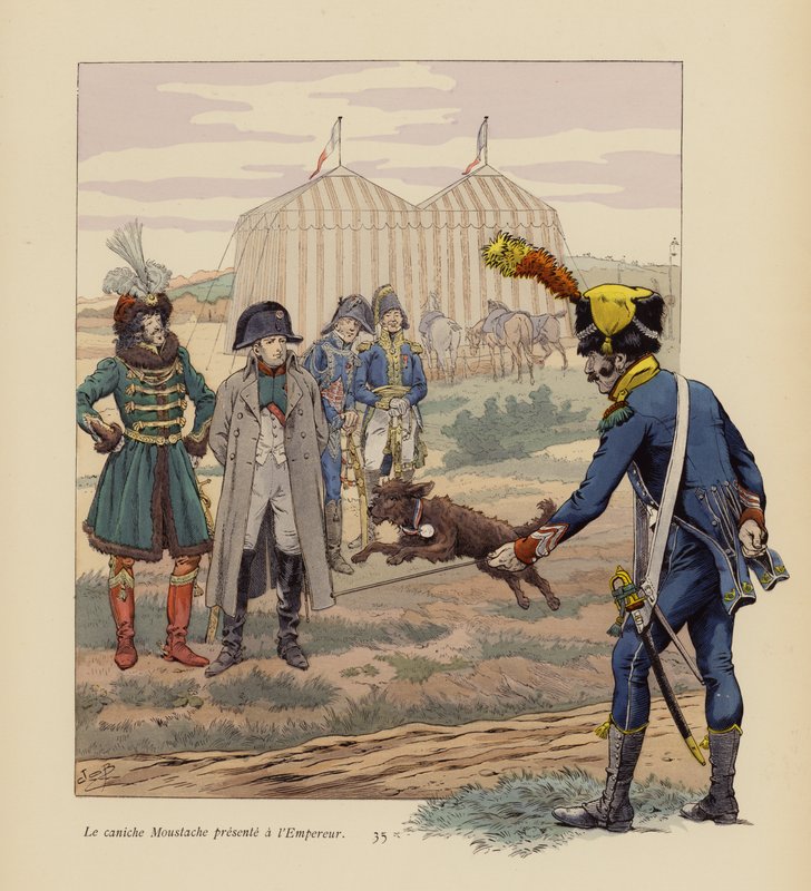 Hunden Moustache presenterad för Napoleon (färglitografi) av pseudonym for Onfray de Breville Jacques Job