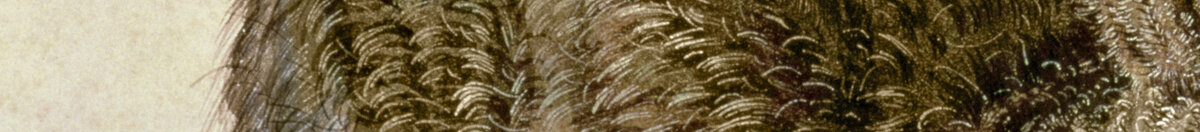 Ung hare (Albrecht Dürer), Detail: Fellzeichnung am Rücken