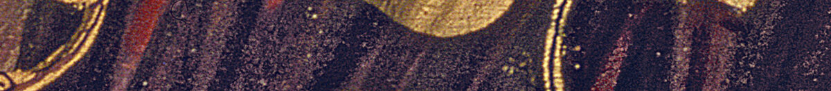 Danaë (Gustav Klimt), Detail: Goldene Kreisornamente am Tuch