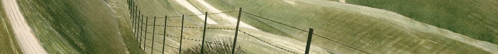 Kritpipor (Eric Ravilious)