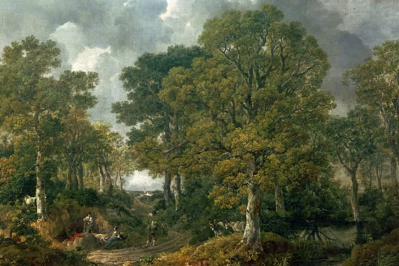 Skog