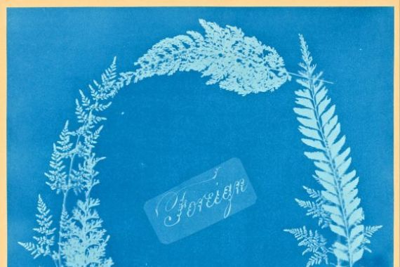 Anna Atkins