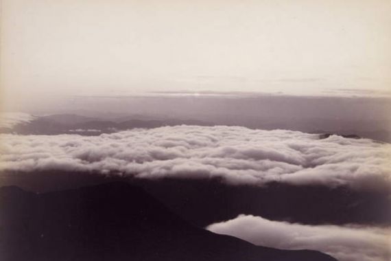 Charles P. Hibbard
