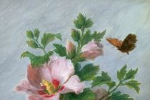Cornelis van Spaendonck
