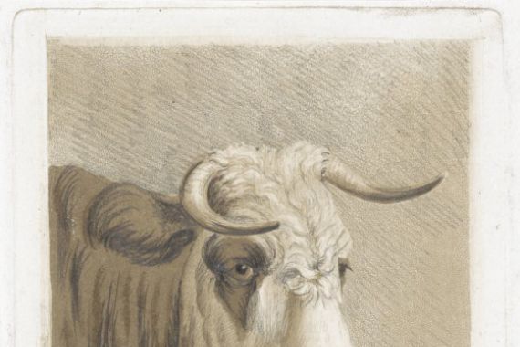 Diederik Jan Singendonck (signed by artist)